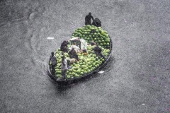 Watermelons transporting boat attack of sudden rain in the river burigonga at sadarghat, Dhaka, Bangladesh on April 17, 2018. Credit: Jahangir Alam onuchcha/Alamy Live News