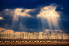 Nature_Desheng_Xu_Bery_China Nature_Desheng_Xu_Bery_China