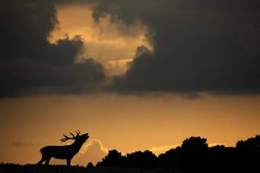 Nature_Franke_deJong_Breaking-the-clouds_Netherlands Nature_Franke_deJong_Breaking-the-clouds_Netherlands