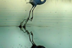 nature_kucelin_zvonko_start-4_croatia nature_kucelin_zvonko_start-4_croatia