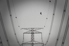 MONO_SHEIKH-KABIR_FABRIC-OF-LIFE_BANGLADESH MONO_SHEIKH-KABIR_FABRIC-OF-LIFE_BANGLADESH