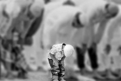 Open-Monochrome_Nishit-Dey_Little-Master-Hanif_India Open-Monochrome_Nishit-Dey_Little-Master-Hanif_India