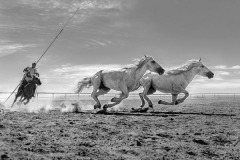 Open-Monochrome_Xiping_An_MERCEDES_China Open-Monochrome_Xiping_An_MERCEDES_China