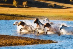 Photo-Travel-_Xiping_An_Fall-over-each-other-2_China Photo-Travel-_Xiping_An_Fall-over-each-other-2_China