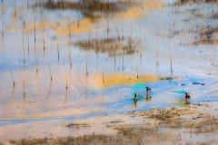 Photo-Travel_Jibin_Zhang_Fishing_China Photo-Travel_Jibin_Zhang_Fishing_China