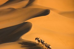 Photo-Travel_Zhenghua_Peng_Desert-Walk_China Photo-Travel_Zhenghua_Peng_Desert-Walk_China