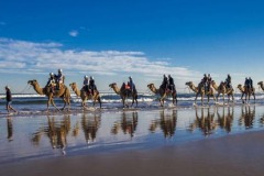 Travel-yanping-QIU-Camel-Team-HongKong Travel-yanping-QIU-Camel-Team-HongKong