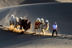 Travel-yanping-QIU-Desert-HongKong Travel-yanping-QIU-Desert-HongKong