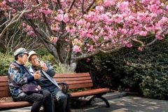 Travel_Zhiyong_Guo_happy-times_China Travel_Zhiyong_Guo_happy-times_China